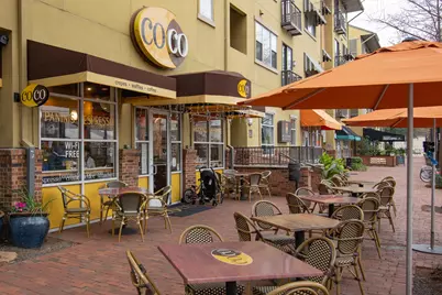 1408 W Webster Street, Houston, TX 77019 - Photo 45