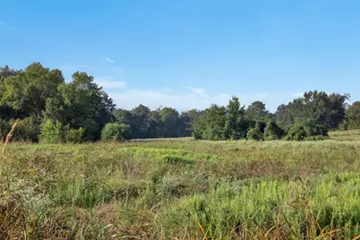 0 Brown College Lane, Washington, TX 77880 - Photo 3