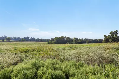 0 Brown College Lane, Washington, TX 77880 - Photo 5