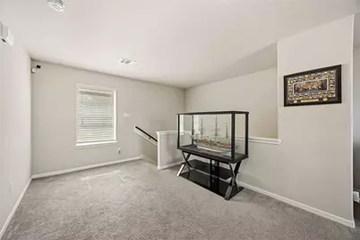 6510 Macroom Meadows Lane, Houston, TX 77048 - Photo 21
