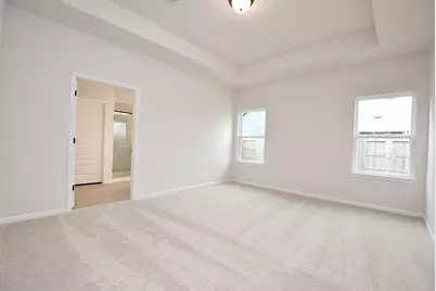 8302 Red Shiner Way, Fulshear, TX 77441 - Photo 19