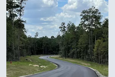 15810 Ridge Rock Road, Willis, TX 77378 - Photo 15