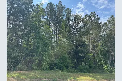 15810 Ridge Rock Road, Willis, TX 77378 - Photo 3