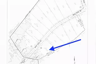 15810 Ridge Rock Rd, Willis, TX 77378 - Photo 9