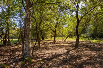 0 Tenney Creek Road, Luling, TX 78648 - Photo 7