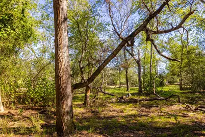 0 Tenney Creek Road, Luling, TX 78648 - Photo 11