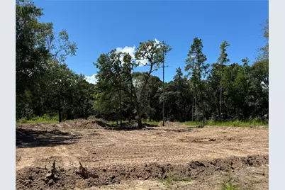 26156 Red Oak Drive, Magnolia, TX 77355 - Photo 3