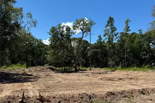 26156 Red Oak Dr, Magnolia, TX 77355 - Photo 3