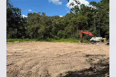 26156 Red Oak Drive, Magnolia, TX 77355 - Photo 21