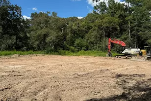 26156 Red Oak Dr, Magnolia, TX 77355 - Photo 21