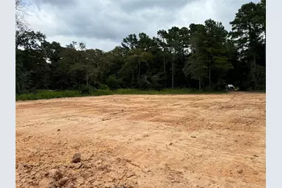 26156 Red Oak Drive, Magnolia, TX 77355 - Photo 19