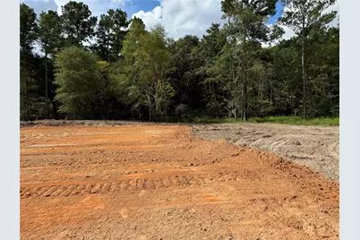 26156 Red Oak Drive, Magnolia, TX 77355 - Photo 17