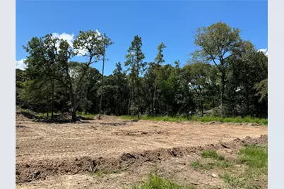 26156 Red Oak Drive, Magnolia, TX 77355 - Photo 5