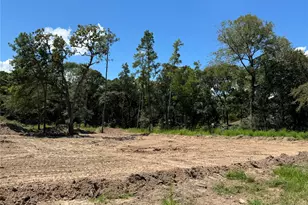 26156 Red Oak Dr, Magnolia, TX 77355 - Photo 5