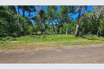 248 Middle Bayou Trail, Angleton, TX 77515 - Photo 9