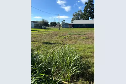 747 Houston, New Ulm, TX 78950 - Photo 3