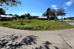 747 Houston, New Ulm, TX 78950 - Photo 1