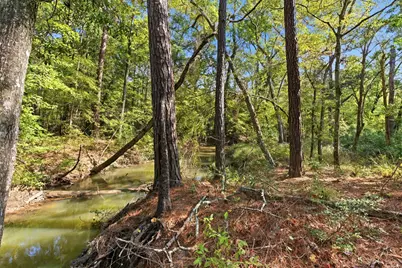 11091 Newton Circle, Conroe, TX 77303 - Photo 5