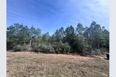 15584 Forest Grove Drive, Willis, TX 77378 - Photo 3