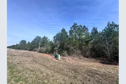 15584 Forest Grove Drive, Willis, TX 77378 - Photo 5