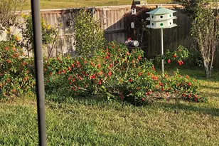 2001 Vineyard Pass, Brenham, TX 77833 - Photo 41