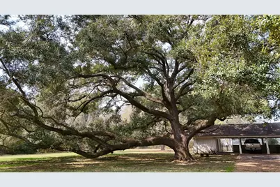 2401 Flora/Cr 422 Road, Alvin, TX 77511 - Photo 9