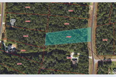 177 Sundog Road, Huntsville, TX 77340 - Photo 17