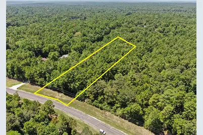 177 Sundog Road, Huntsville, TX 77340 - Photo 11