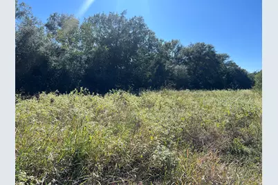 Tbd Fm 109, Columbus, TX 78934 - Photo 7