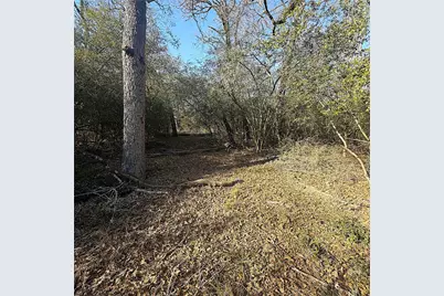 00000 Cr 102, Leona, TX 75850 - Photo 13