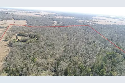 00000 Cr 102, Leona, TX 75850 - Photo 5