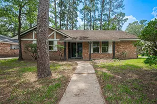 25303 Lynbriar Ln, Spring, TX 77373 - Photo 1