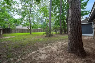 25303 Lynbriar Ln, Spring, TX 77373 - Photo 45