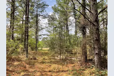 Lot 2B & 2C Fuller Springs Drive, Lufkin, TX 75901 - Photo 7