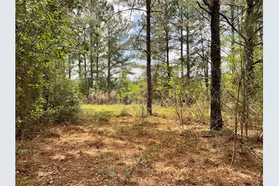 Lot 2B & 2C Fuller Springs Drive, Lufkin, TX 75901 - Photo 5