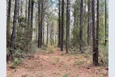 Lot 2B & 2C Fuller Springs Drive, Lufkin, TX 75901 - Photo 3