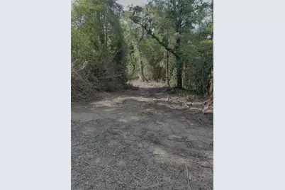0 County Road 1208, Grapeland, TX 75844 - Photo 3