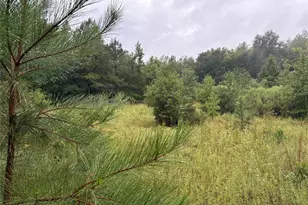 000 An County Road 3194, Frankston, TX 75763 - Photo 7