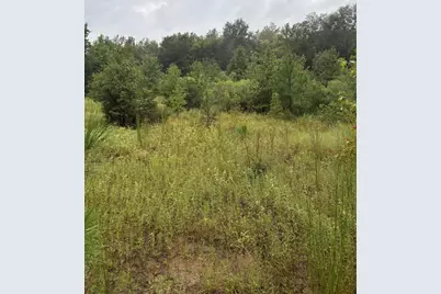 000 An County Road 3194, Frankston, TX 75763 - Photo 3