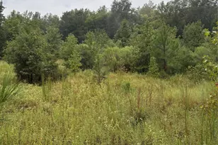 000 An County Road 3194, Frankston, TX 75763 - Photo 3