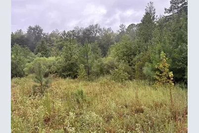 000 An County Road 3194, Frankston, TX 75763 - Photo 5