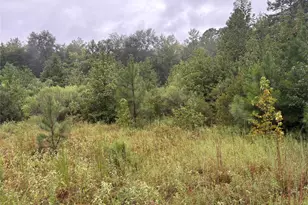 000 An County Road 3194, Frankston, TX 75763 - Photo 5