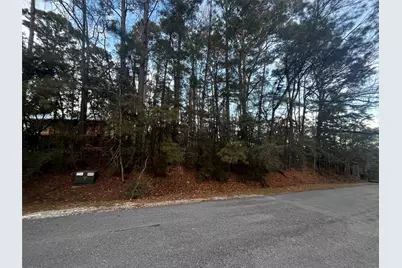 26 Sunny Hill Drive, Coldspring, TX 77331 - Photo 3
