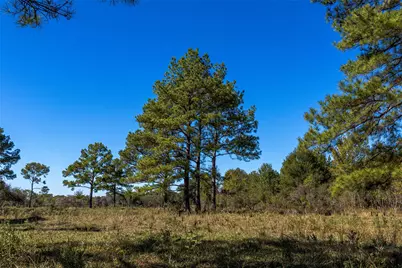 Tbd Gentry Road, Beaumont, TX 77713 - Photo 9