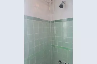 1920 Binz Street #2, Houston, TX 77004 - Photo 23