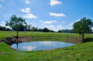 Tbd Cr 201 Hwy 90A E, Hallettsville, TX 77964 - Photo 11