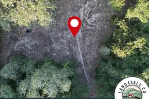 270 Cr 120, Hallettsville, TX 77964 - Photo 3