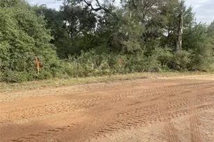 270 Cr 120, Hallettsville, TX 77964 - Photo 11