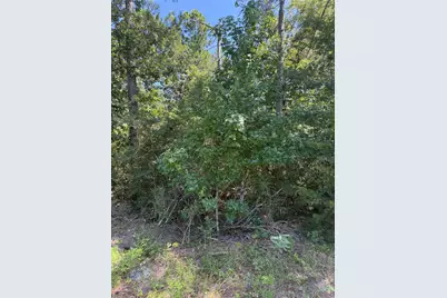 Tbd Creeklake Drive, Onalaska, TX 77360 - Photo 3
