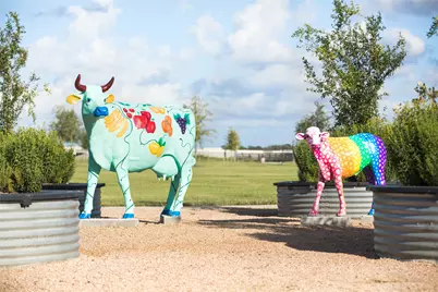 3103 Cranberry Creek Loop, Richmond, TX 77406 - Photo 15